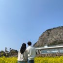 제주 사계리 용머리 화산쇄설층 이미지