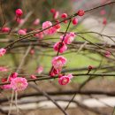 민행정사사무소 이미지