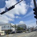 오색시장 | [26.04.04.]오산 벚꽃명소 오산천 '봄날의 벚꽃마켓' 방문 후기(feat. 오색시장 주차)