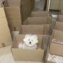 메종VIP203 이미지