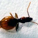 용연동굴 이미지