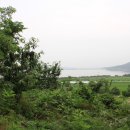 꿈꾸는동산 이미지