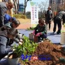 충청화분