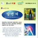 잠실탁구교실
