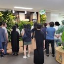국립법무병원 치료감호소