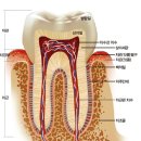 조재민치과의원 이미지