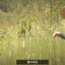 대리농장 티스토리