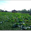 하가리집 이미지