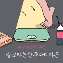 당뇨병에 관한 오해와 진실 | 권장 칼로리 계산 살빼려면 얼마나 먹어야 할까