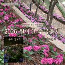 6월 수국축제 추천! 월아산 숲속의 진주 방문 후기와 주차 정보