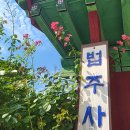 보은옥천영동축산업협동조합 | 충북 남부 3군 스탬프투어 옥천 영동 보은 여행 가볼만한곳