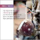 샬롬 이미지
