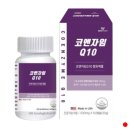 웰러스팜