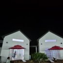 판포레스트 이미지