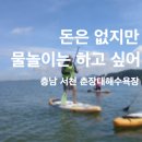 서천종합광고 | 충남 서천 춘장대해수욕장 | 액티비티 추천 | 패들보드 무료체험 솔직후기