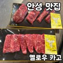 카고 | 안성 맛집 옐로우 카고 솔직 후기