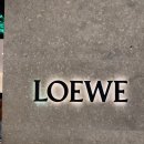 루이샌드 | 엘 꼬르떼 백화점 디아고날점 명품관 쇼핑 후기 _로에베(LOEWE), 루이비통(LOUIS VUITTON), 디올(DIOR)