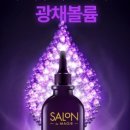 살롱드엔젤