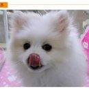 샵선경 네이버블로그
