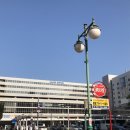 하이디상점 | 후쿠오카 1일 버스 라쿠투어 이용후기 (유후인 플로럴 빌리지, 벳푸 가마도 지옥온천, 유후다케, 다자이후)