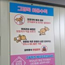 마리독 | 부산 강서구 대형 애견운동장 그랑독 후기 주차 메뉴 입장료 총정리