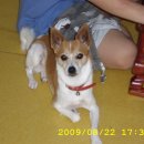 봉곡동019 이미지