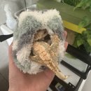 연서 동물병원 이미지