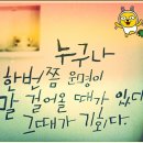 샤르망 헤어 - 세종특별자치시 도담동 | 샤르망 헤어