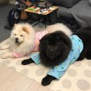득구네