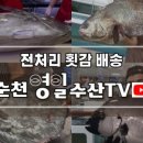 막썰어회수산 이미지