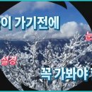 1/13(토) 제136회 마산봉 새해 첫 정기산행 이미지