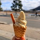 트래블랜드 | ［일본］교토 일일 버스투어 후기2, 아라시야마 도게츠쿄&대나무숲 (인디고트래블 내돈내산 후기)