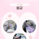 로하스일산병원 이미지
