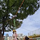 서울인왕초등학교 이미지