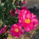 적성민박 이미지