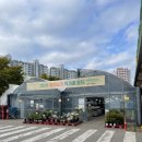 성남마트 | 하나로마트 성남점 영업시간 및 방문 후기｜가을 국화가 한가득