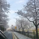 아나덴 슈가링 왁싱 마곡역점 이미지