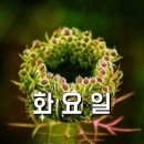 11월 26일(화) 신문을 통해 알게된 이야기들 이미지