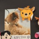 놀러오개 서대문점 이미지