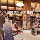 올앤굿즈 | 수지 롯데몰 아크앤북 볼거리 해리포터 팝업 굿즈 구경 용인 실내 데이트코스 추천