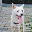 짱구네동물병원 이미지