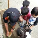 아기산새어린이집 이미지