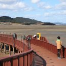 무안생태갯벌사업소 이미지