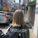 까리시마 | [마산 경남대 미용실/댓거리미용실] 댓거리 미용실 추천 ‘까리시마’