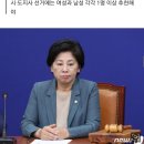 남인순, 지역구의원 '여성 공천 40% 의무화' 법 발의 이미지