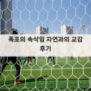 속삭임 | 폭포의 속삭임 자연과의 교감 후기