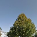 대구가톨릭대학교사범대학부속무학중학교 이미지