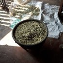 성이농장 이미지