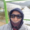 미소 태양광발전소 이미지