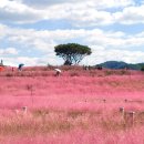 신소양체육공원화장실(주차장) 이미지